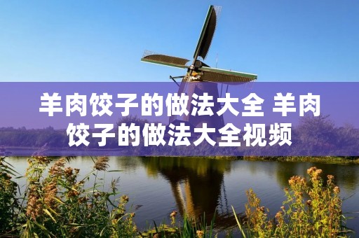羊肉饺子的做法大全 羊肉饺子的做法大全视频