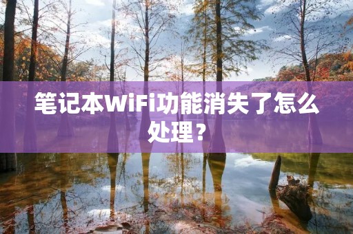 笔记本WiFi功能消失了怎么处理? 笔记本WiFi功能消失了怎么处理?