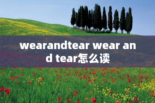 wearandtear wear and tear怎么读