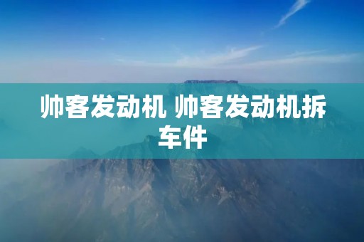 帅客发动机 帅客发动机拆车件