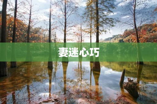 妻迷心巧:探讨夫妻关系中的心理巧妙