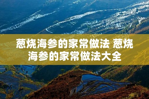 葱烧海参的家常做法 葱烧海参的家常做法大全