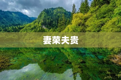 妻荣夫贵:传统婚姻观的现代诠释