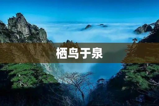 栖鸟于泉:自然与生命的交融