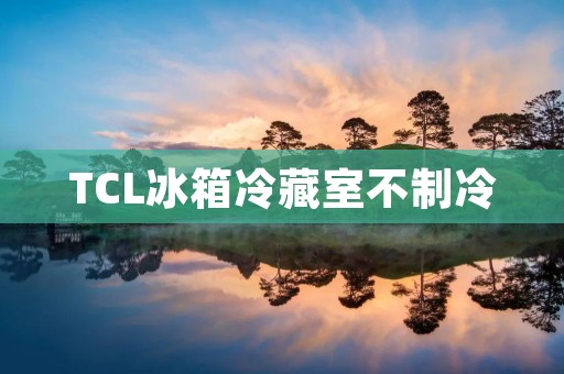TCL冰箱冷藏室不制冷:可能的原因和解决方法 TCL冰箱冷藏室不制冷:可能的原因和解决方法