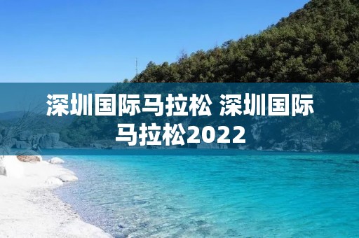 深圳国际马拉松 深圳国际马拉松2022