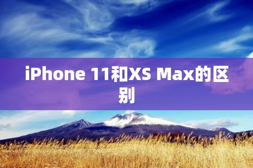 iPhone 11和XS Max的区别：性能、相机和显示屏