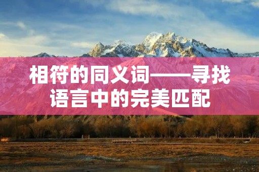 相符的同义词——寻找语言中的完美匹配