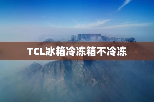 TCL冰箱冷冻箱不冷冻：原因与解决方法