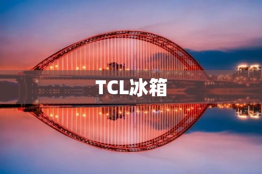 TCL冰箱：国产优质之选