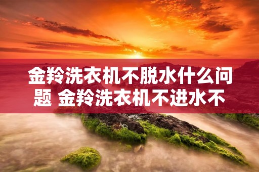 金羚洗衣机不脱水什么问题 金羚洗衣机不进水不转动是怎么回事 金羚洗衣机不脱水什么问题 金羚洗衣机不进水不转动是怎么回事