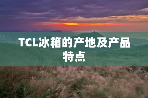 TCL冰箱的产地及产品特点 TCL冰箱的产地及产品特点
