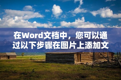 在Word文档中,您可以通过以下步骤在图片上添加文字: