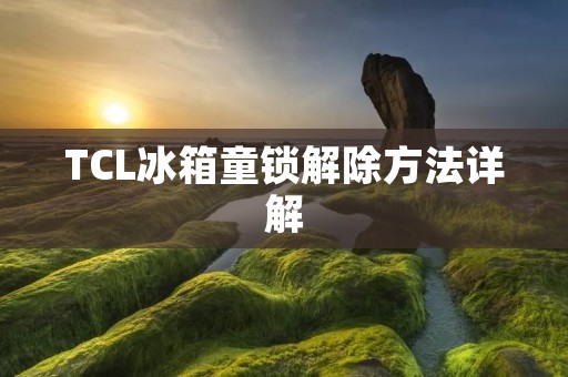 TCL冰箱童锁解除方法详解 TCL冰箱童锁解除方法详解