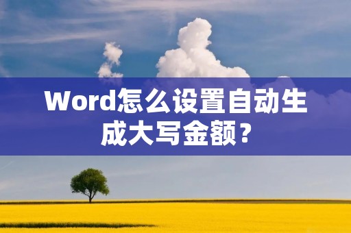 Word怎么设置自动生成大写金额?