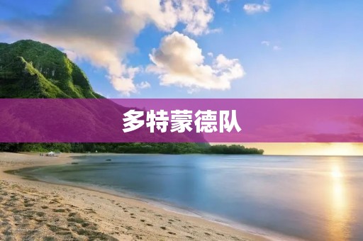 多特蒙德队:黄色风暴中的传奇 多特蒙德队:黄色风暴中的传奇