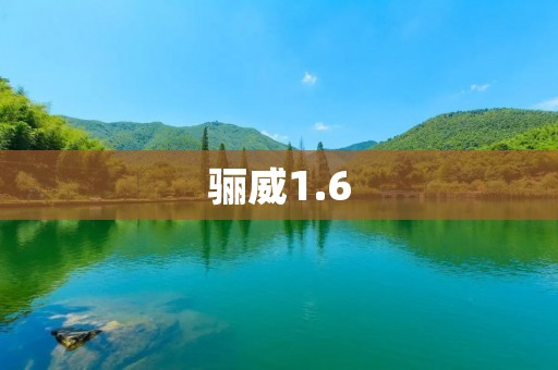 骊威1.6：开创时代的驾驶体验