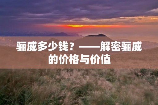 骊威多少钱?——解密骊威的价格与价值 骊威多少钱?——解密骊威的价格与价值