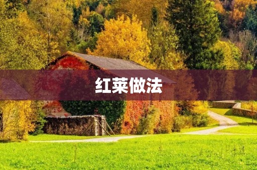 红莱做法：传统美食的独特魅力