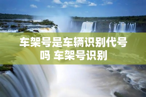 车架号是车辆识别代号吗 车架号识别 车架号是车辆识别代号吗 车架号识别