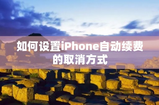 如何设置iPhone自动续费的取消方式