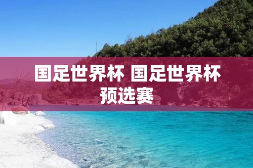 国足世界杯 国足世界杯预选赛 国足世界杯 国足世界杯预选赛