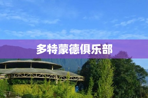 多特蒙德俱乐部:黄色风暴的传奇 多特蒙德俱乐部:黄色风暴的传奇