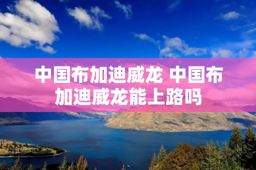 中国布加迪威龙 中国布加迪威龙能上路吗 中国布加迪威龙 中国布加迪威龙能上路吗