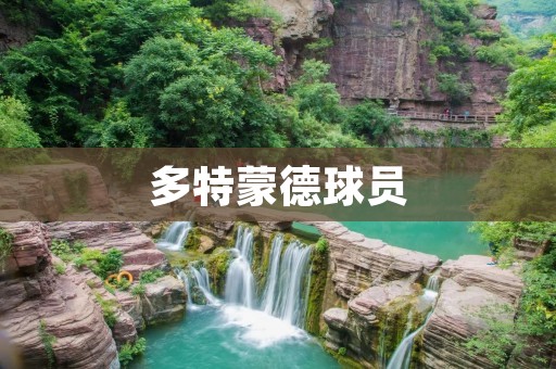 多特蒙德球员：征战绿茵场的勇士