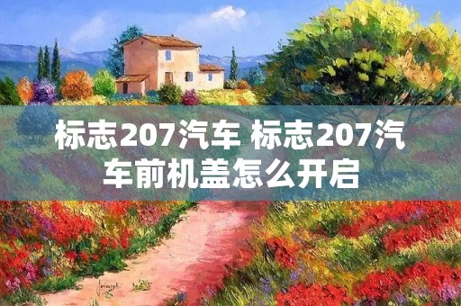 标志207汽车 标志207汽车前机盖怎么开启 标志207汽车 标志207汽车前机盖怎么开启