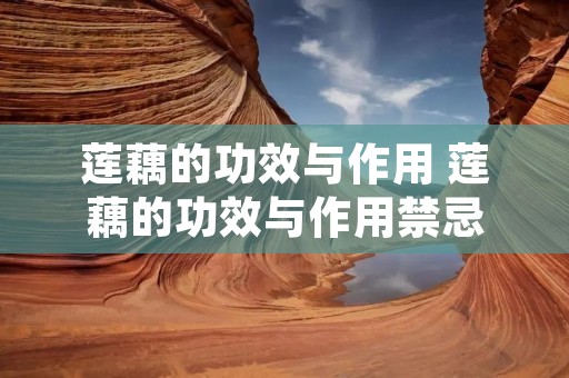莲藕的功效与作用 莲藕的功效与作用禁忌