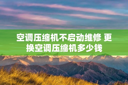 空调压缩机不启动维修 更换空调压缩机多少钱 空调压缩机不启动维修 更换空调压缩机多少钱