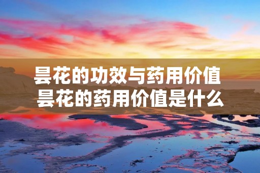 昙花的功效与药用价值 昙花的药用价值是什么