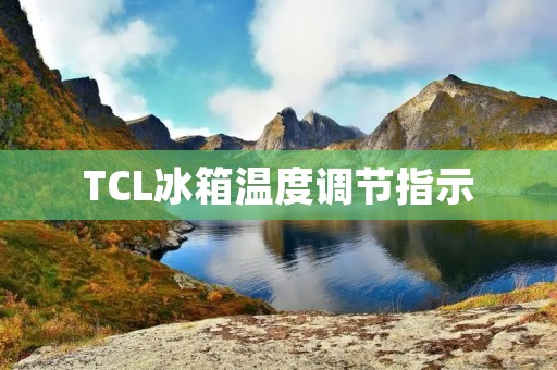 TCL冰箱温度调节指示：保持食物新鲜的关键