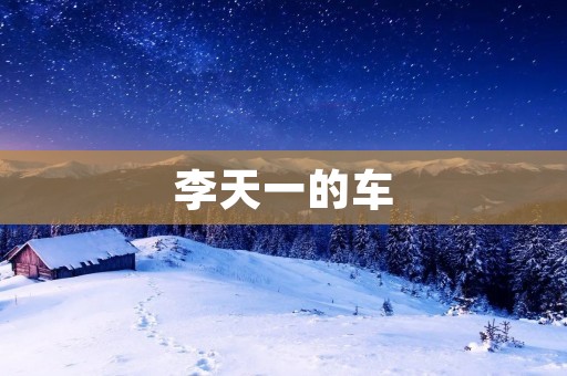 李天一的车:一辆引发全国关注的神秘座驾 李天一的车:一辆引发全国关注的神秘座驾