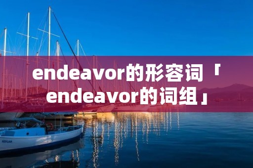 endeavor的形容词「endeavor的词组」