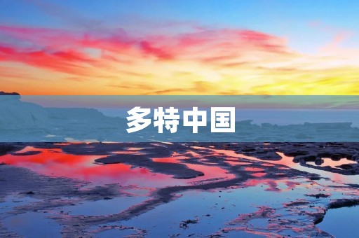 多特中国：在中国市场的崛起与挑战
