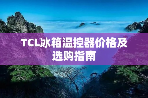 TCL冰箱温控器价格及选购指南