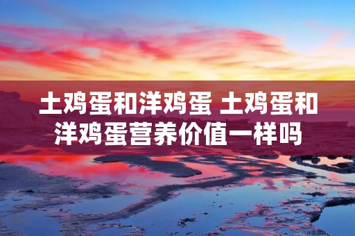 土鸡蛋和洋鸡蛋 土鸡蛋和洋鸡蛋营养价值一样吗