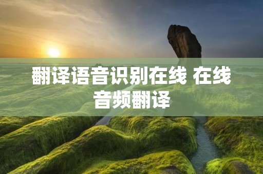 翻译语音识别在线 在线音频翻译