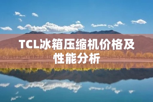TCL冰箱压缩机价格及性能分析 TCL冰箱压缩机价格及性能分析