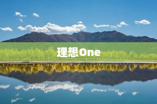 理想One:追寻梦想的人生旅程 理想One:追寻梦想的人生旅程