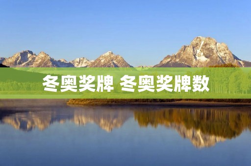 冬奥奖牌 冬奥奖牌数