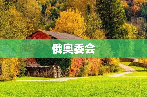俄奥委会:俄罗斯奥林匹克委员会的全称 俄奥委会:俄罗斯奥林匹克委员会的全称