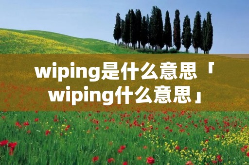 wiping是什么意思「wiping什么意思」 wiping是什么意思「wiping什么意思」