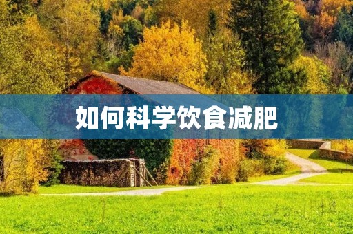 如何科学饮食减肥