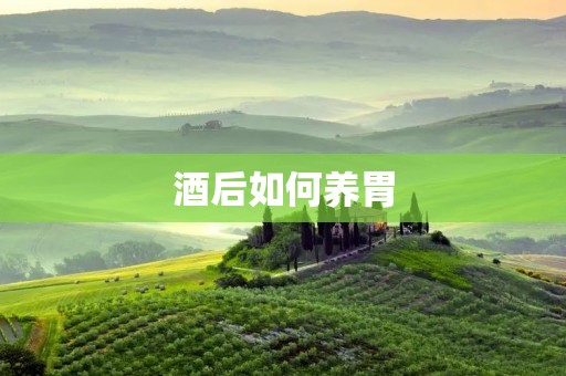酒后如何养胃