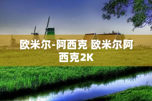 欧米尔-阿西克 欧米尔阿西克2K