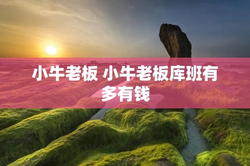 小牛老板 小牛老板库班有多有钱