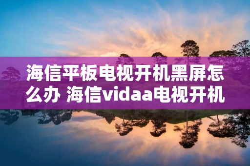 海信平板电视开机黑屏怎么办 海信vidaa电视开机黑屏